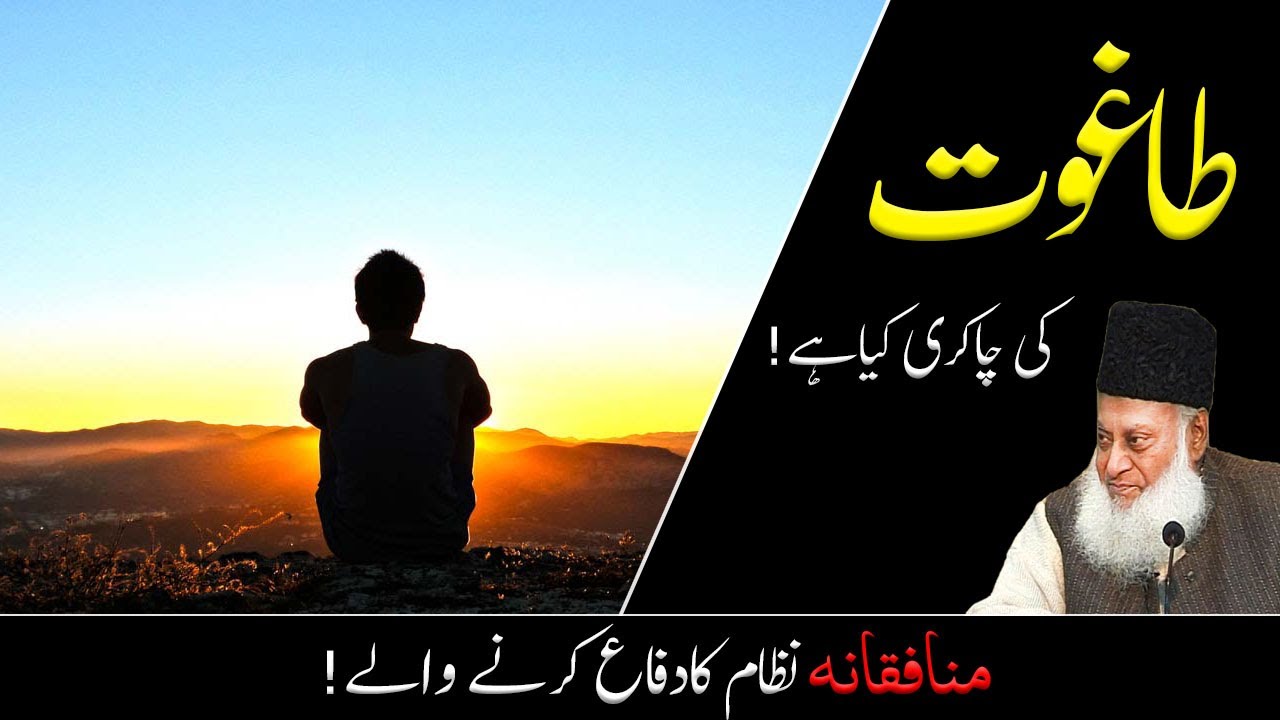 Taghut — Fard, Idara Aur Nizaam