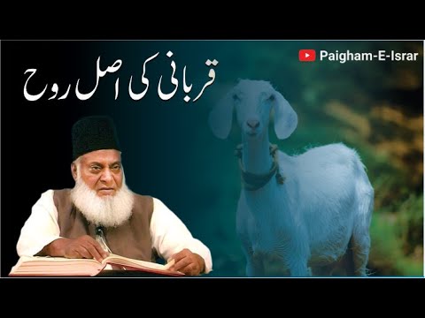 Qurbani ka Asli Maqsad - The True Purpose of Sacrifice