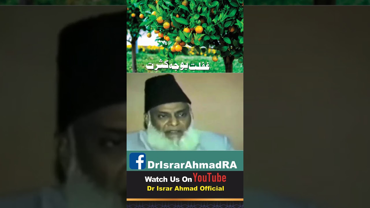 Qal'a o Qaf'a - A Better Life